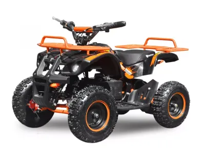 Quad électrique 6″ Torino Deluxe 36V 800W BU