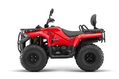 QJMotor SFA 300 – photo 5