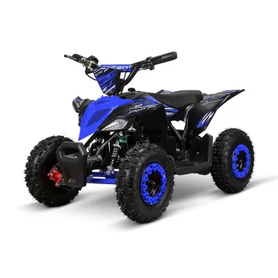Quad électrique Replay Deluxe 1000W 36V Lithium – photo 17