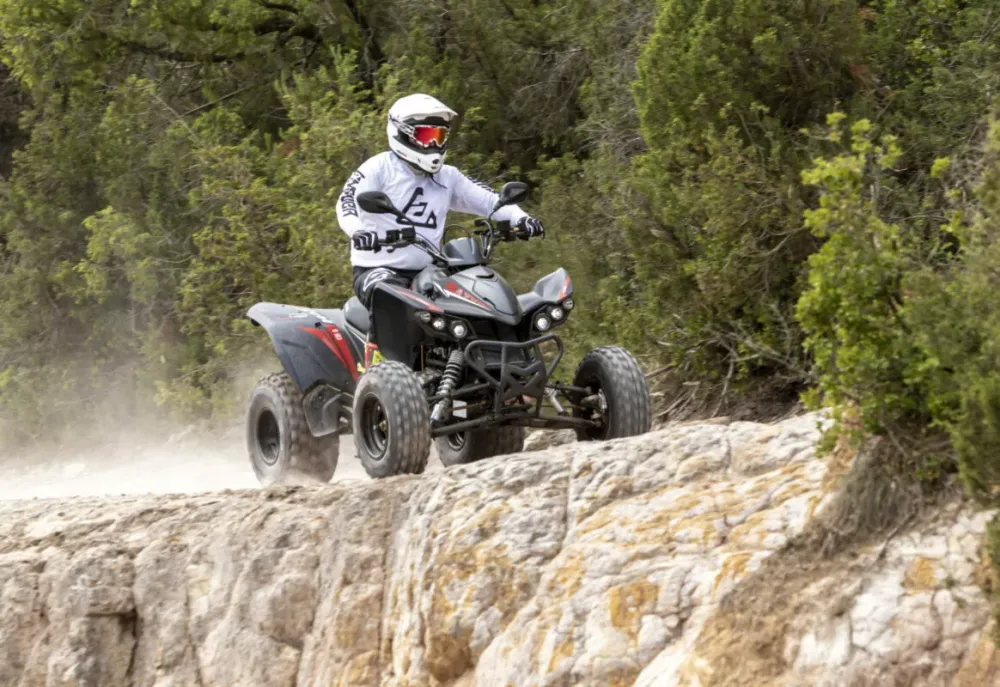 Vue arrière montrant suspension mono-amortisseur et treuil monté