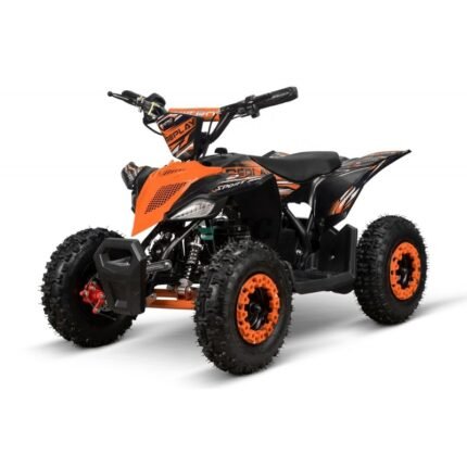 Quad électrique Replay Deluxe 1000W 36V Lithium