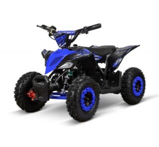 Quad électrique Replay Deluxe 1000W 36V Lithium